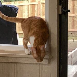 Meet your Posher, Cathy